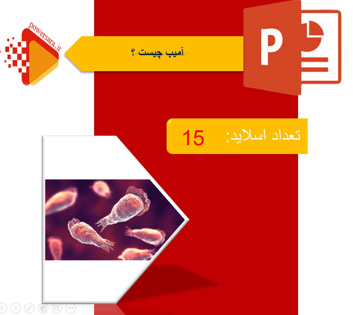 پاورپوینت در مورد آمیب 